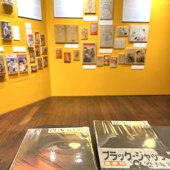 京都旅行②パティスリー・マンガミュージアム