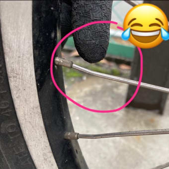 星スポーク「Fixfスポーク」