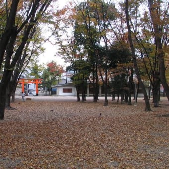 小学校の同窓会と思い出