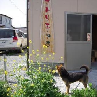 地元民の笑顔　～南相馬市ふるさと見聞録～