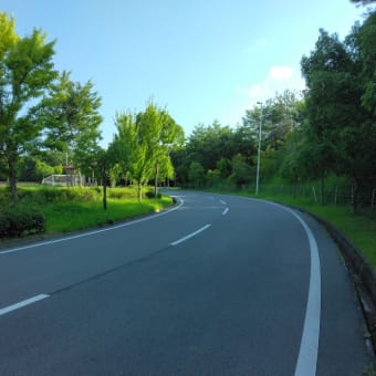 私の毎日