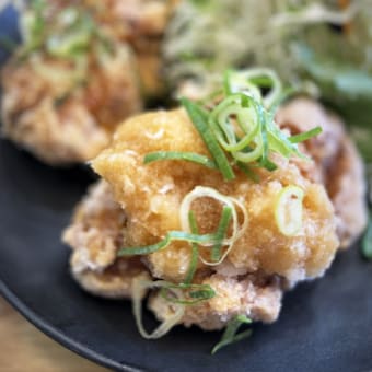 瀬戸内からあげ専科 日鶏ひとり＠福山市「半々定食」