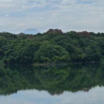 狭山公園散歩道2022.8.14