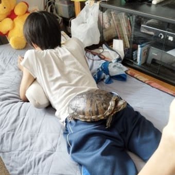ありがたいこと