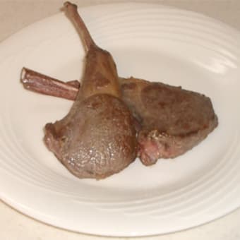 モンハンクロス発売記念にこんがり肉っぽいものを作って失敗した話