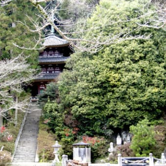 矢田三山、松尾寺・金剛山寺・東明寺へ