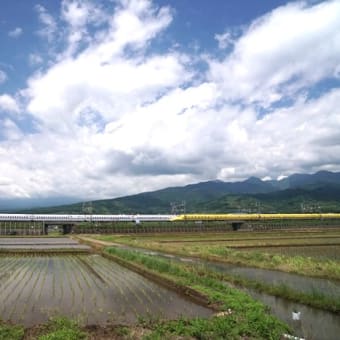 静岡県 in ドクターイエロー　１