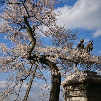 サクラ咲く🌸　～予知夢～