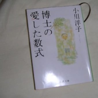 読書感想文2　博士の愛した数式