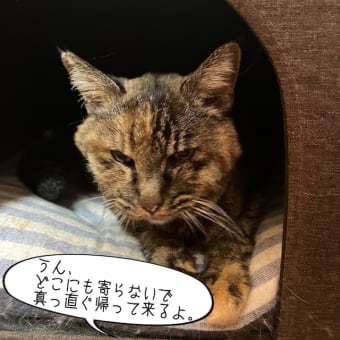今日も点滴行くの・・・？