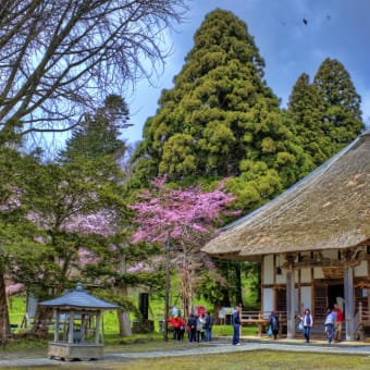 有珠善光寺お参りと散策