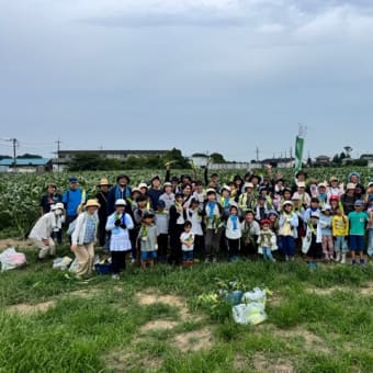 とうもろこし収穫体験