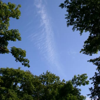 ８月２５日　土曜日