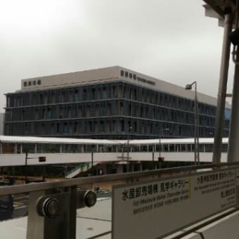 いいお天気でした