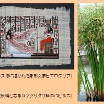 初詣と“カミサマ”の因縁　