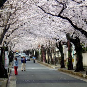 春雷