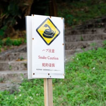 2025年は気を引き締めて