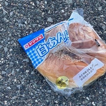 夏の落とし物 君と過ごした日々･･･