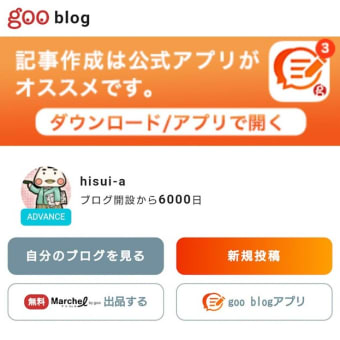 ブログ6000日！