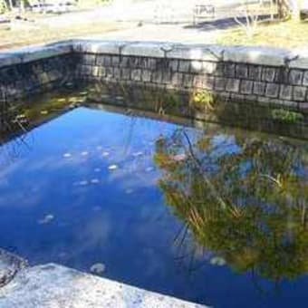 岐阜県百年公園の池