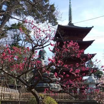 下総中山のおひなまつり