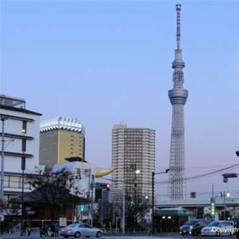 12月24日
