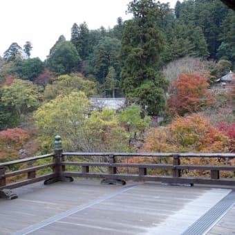 長谷寺の朝の勤行（旅行第２日目）