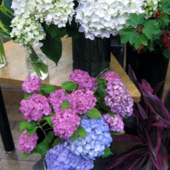 画像一覧 永井生花日記