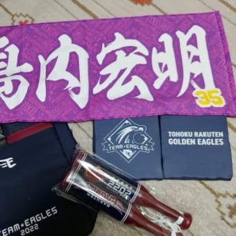 ⚾2022シーズン近し✨
