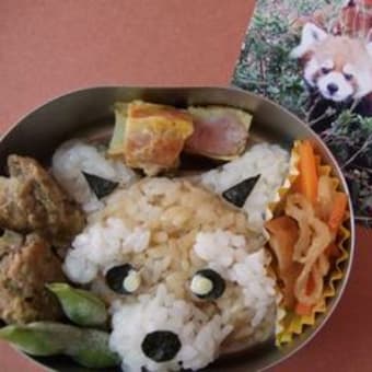 レッサーパンダ？弁当