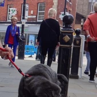 画像一覧 544ページ目 イギリス ストックポート日報 England Daily Stockport 画像一覧 544ページ目 イギリス ストックポート日報 England Daily Stockport