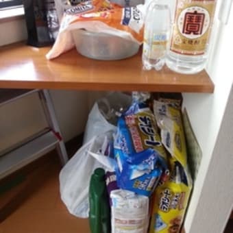 旧ゴミ置き場片付け