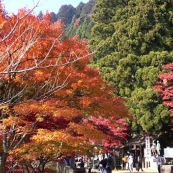 大山　阿夫利神社に参詣　１１月２７日（その２最終回）