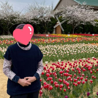 春のお花見ダイジェスト