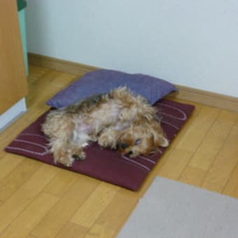 なまくらなまくら