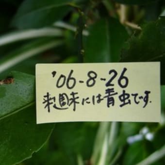 2006年8月26日(土)　中間報告