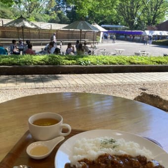 神代植物公園へ