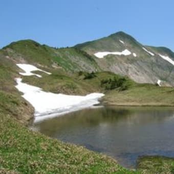 残雪と高山植物の別山平