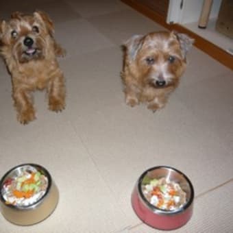 Happay Birthday    Coco  !!!!!!!!