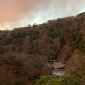 山が真っ赤に染まる夕方の風景｜箱根 自然薯の森 山薬