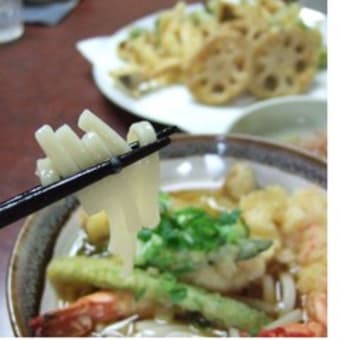 ぷちぷちうどん