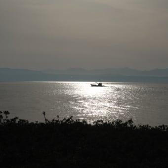 砂むし温泉と指宿焼酎