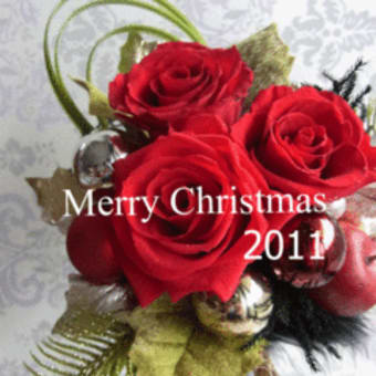 Merry Christmas 　2011☆☆