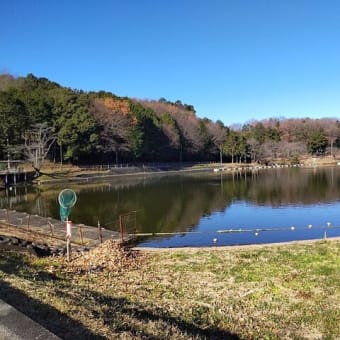 12月21日　柚子を調達に名産地の越生・毛呂山マラニック