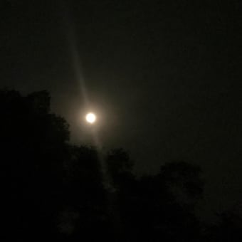 今夜は満月