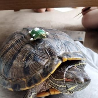 いやあ～、良かった.....