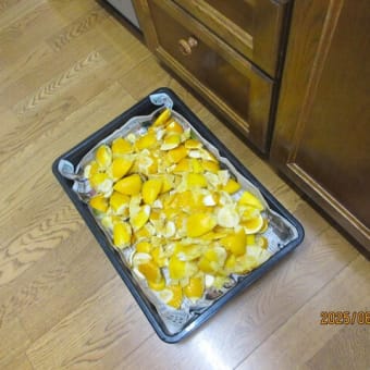 これで終わり「レモン果汁」しぼり。🍋