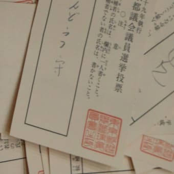 東京都議会選挙_開票状況⑤（逆さま票と欄外記載票）