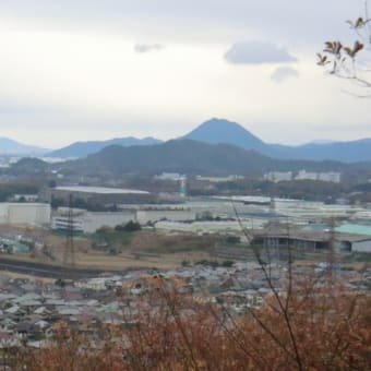 冬の牟礼山から琵琶湖を望む