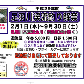 平成29年度　渓流釣り（サクラマス釣り）の遊漁証について
